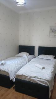 Rustavi guest house - Rustavi - 8