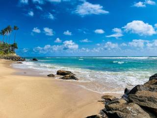 The Neylipz - Fully Air Conditioned 3 bedroom Apartment - Weligama - 7