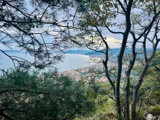 Hotel Principe - Pietra Ligure - 6