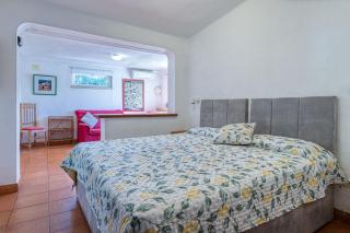 14B Quinta do Paraiso Amazing house located in t - Carvoeiro - 1