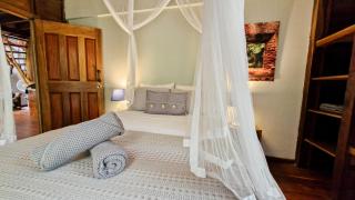 Casa Auratus Manzanillo wildlife - 2