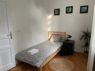 Pirc apartment on Dunajska street - Liubliana - 7