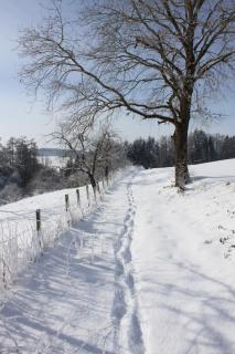 Klostergasthof Roggenburg - 6