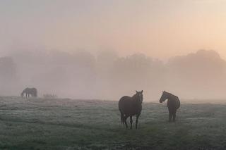 The Old Cattle Barn - 3