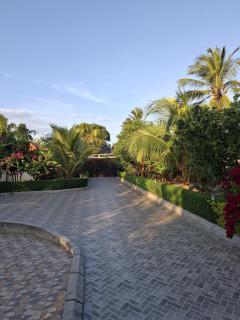 Buyu House - Città di Zanzibar - 6