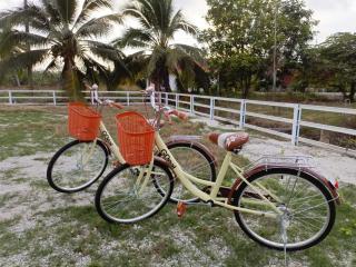 Villa Haryz - MslimOnly - Tanjung Karang - 6