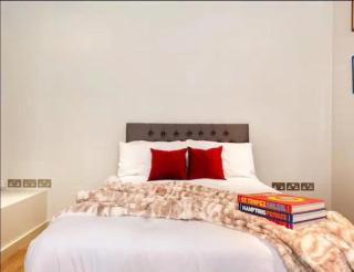 Green Street Luxury Apartment in London - Londra - 3