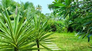 Angels' homestay Marari - Mararikulam - 3