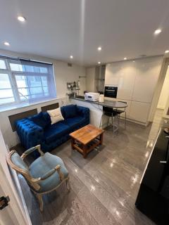 Lovely Chelsea Entire Apartment london city - Londra - 1