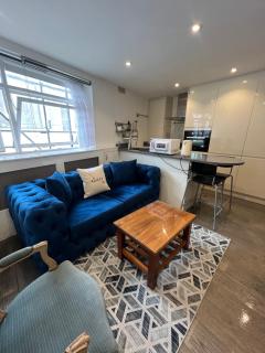 Lovely Chelsea Entire Apartment london city - Londra - 0