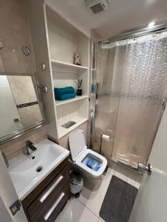Lovely Chelsea Entire Apartment london city - Londra - 4