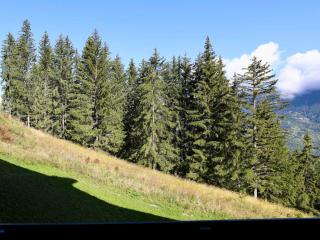 Appartement rénové proche des pistes - 4 pers, balcon, casier à skis - FR-1-575-211 - 2