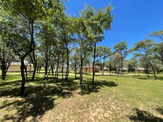 Matopo Ingwe Lodge - Matopos - 8