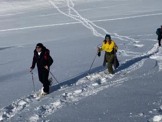Chalet luxueux SAUNA WIFI - 1