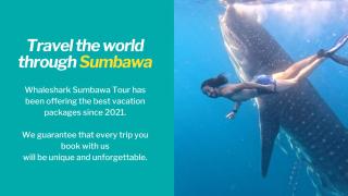 Whale shark Sumbawa Tour - Sumbawa Besar - 6