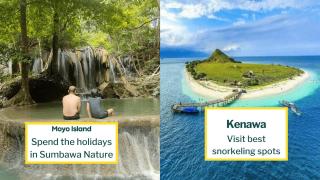 Whale shark Sumbawa Tour - Sumbawa Besar - 5