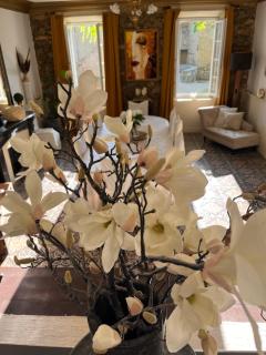 Maison d'hôtes de charme "La Belle Dame sans Regrets" - Talairan - 3