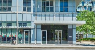 View CN Tower and Lake from the Sky! - 8