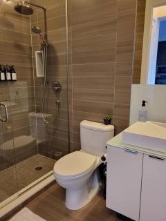 View CN Tower and Lake from the Sky! - 6