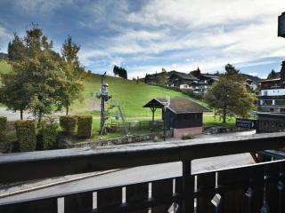 Charmant T2, Pied des Pistes, Centre-Village, Balcon, Parking - FR-1-685-16 - 2