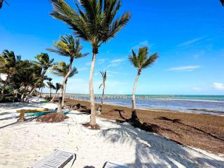 Bungalows Beach Key West - Hemingway - 3