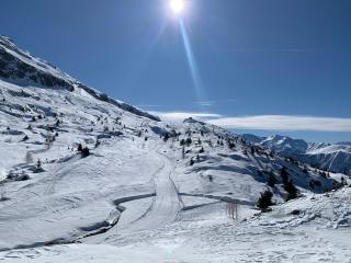 VAUJANYLOCATIONS - Flocon 1 - Vaujany - 8