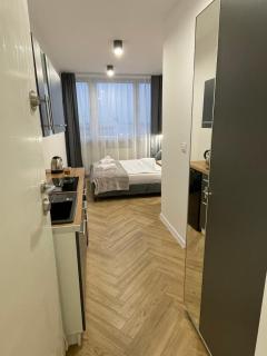 Apartament Angel Katowice centrum - 1