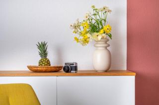 BodenseeApartment Nest - Friedrichshafen - 0
