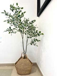 Cala Alta Sea Dreams - 5