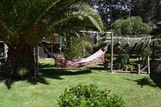 Cabañas Jardines de Isla Negra - 0