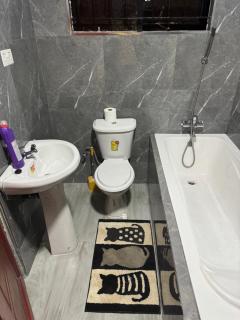 Steady State Apartment 5 - 4