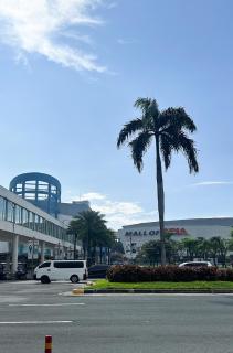 Suite 101F a New & Spacious MOA Sunrise Drive Oasis - Manila - 1