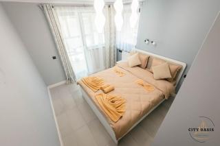 City Oasis Villa in Sibiu - Sibiu - 1