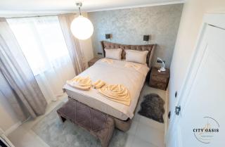 City Oasis Villa in Sibiu - Sibiu - 9