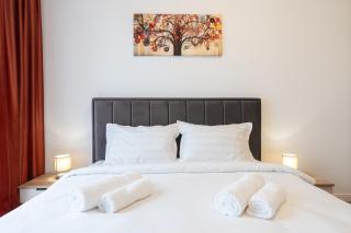 Juno Central Apartment - Oradea - 2