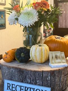 Bella Vista - Llandudno - 6