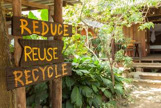 Monkey Mansion - Jungalows & Tours - Khao Sok - 3