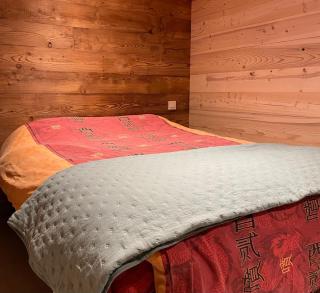 Appart 8 pers ac Jacuzzi portes du soleil La Chapelle-Chatel - La Chapelle-dʼAbondance - 1