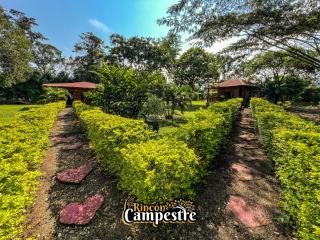 Rincón Campestre - Mesetas - 7