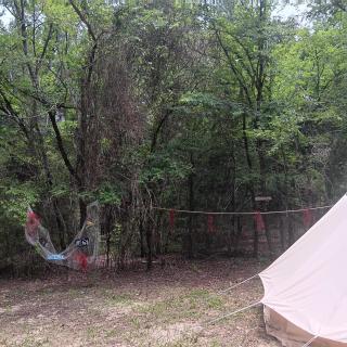 King Creole #3 - Glampsite at Farm and Bok Vegas Petting Zoo - 4