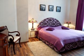 Vip Apartment an den Thermen - Baden-Baden - 8