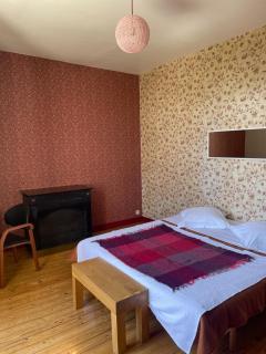Chambre unique au restaurant - Ingrandes-de-Touraine - 8