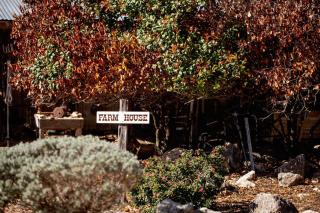 #13 The Nest at Garrison in Gruene - New Braunfels - 3