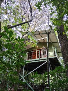 Jungle Living Tree Houses - 9