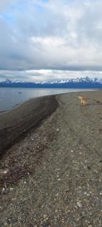 Bosque Del Sur Cabañas - 1