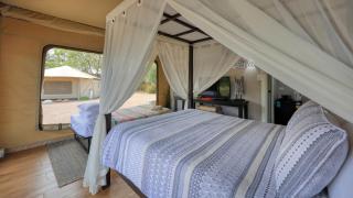 Dubbo Rhino Lodge - Dubbo - 7