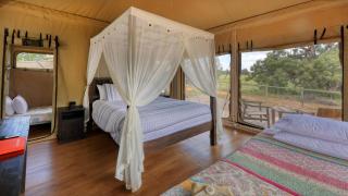 Dubbo Rhino Lodge - Dubbo - 6