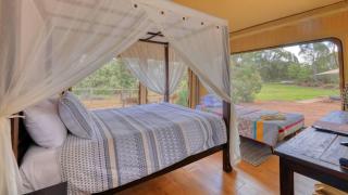 Dubbo Rhino Lodge - Dubbo - 5