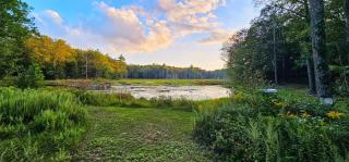 Serene Rustic Retreat with Lake - - 9