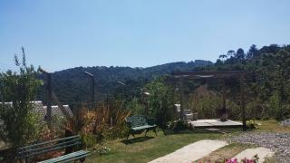 Casa flores do campo - Campos do Jordão - 1